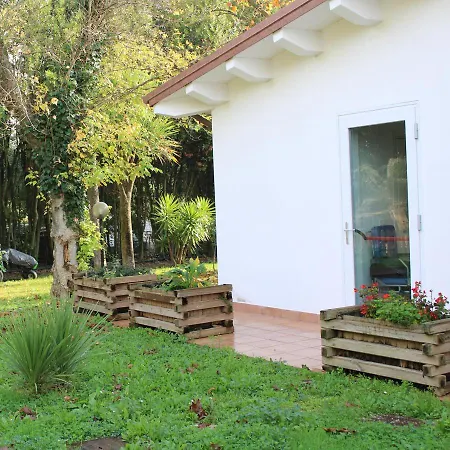 Casa Vacanze Girasole *