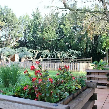 Casa Vacanze Girasole * צ'יביטאנובה מארקה